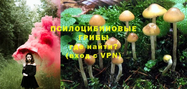 герыч Балахна